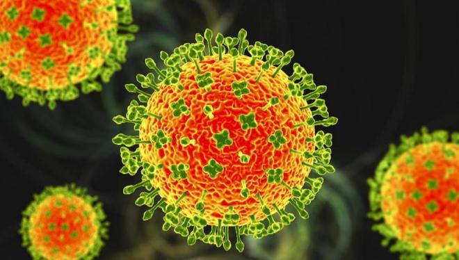 印度尼帕病毒中国应对措施_尼帕病毒疫情春运防控_疫情