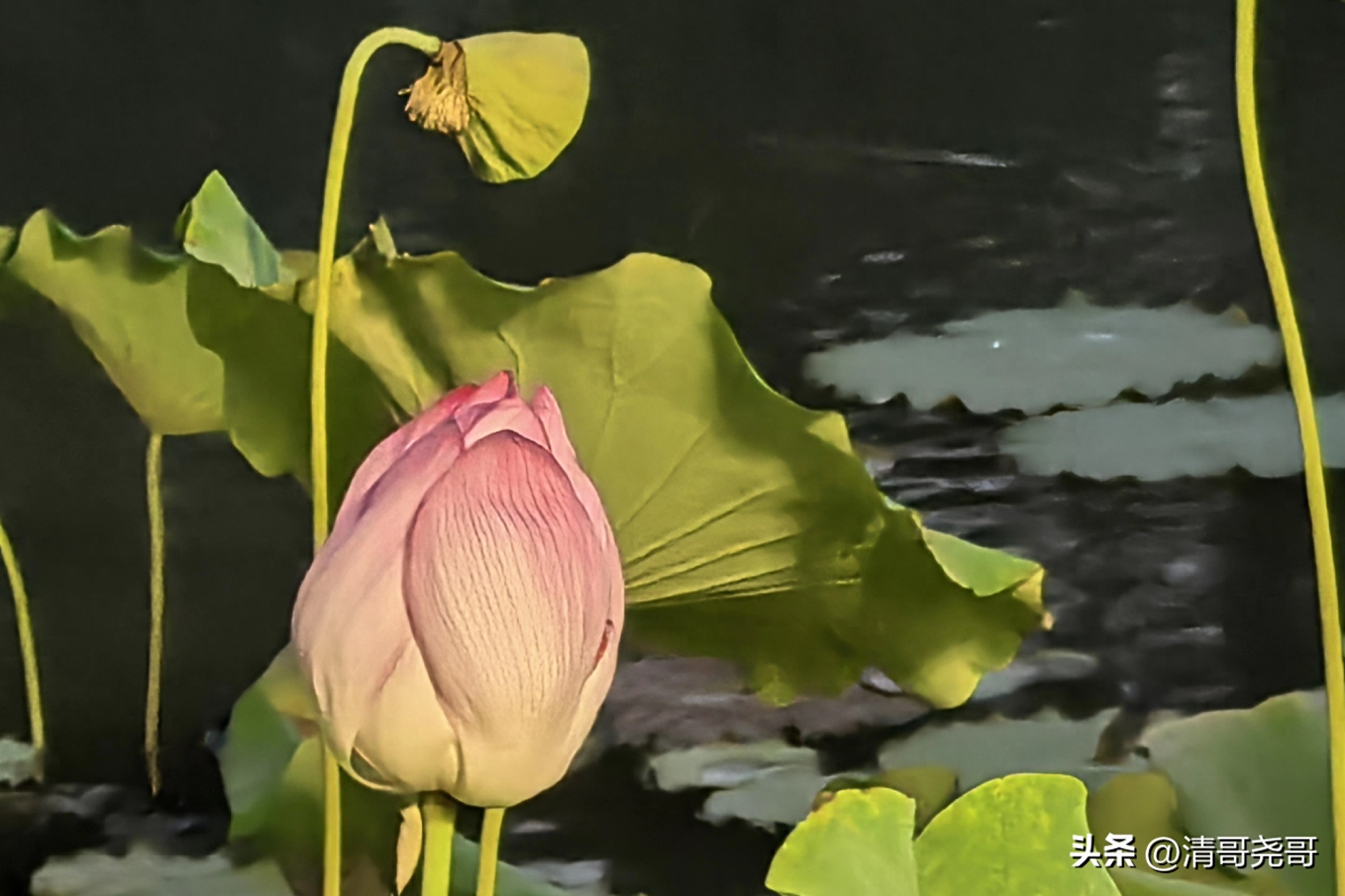 疫情_人生艰难困苦_财务工作压力