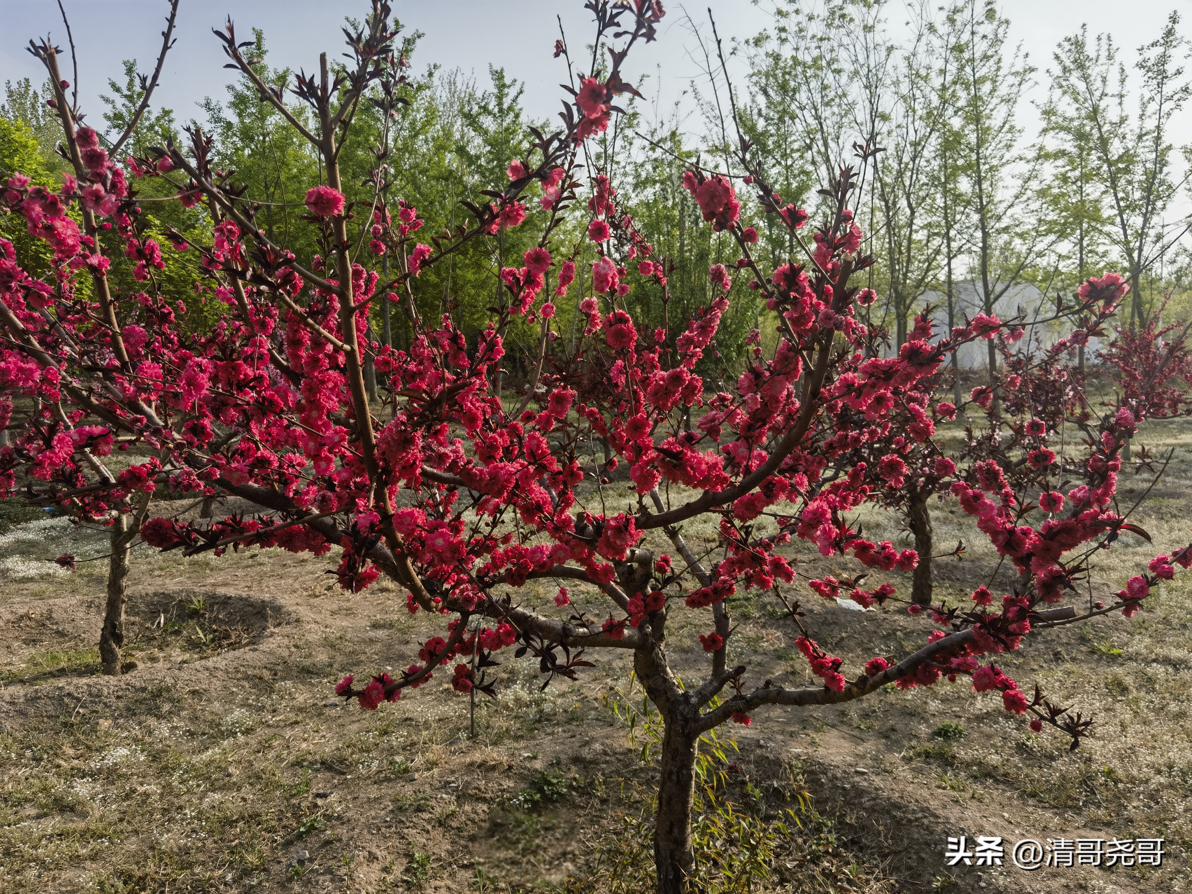人生艰难困苦_疫情_财务工作压力