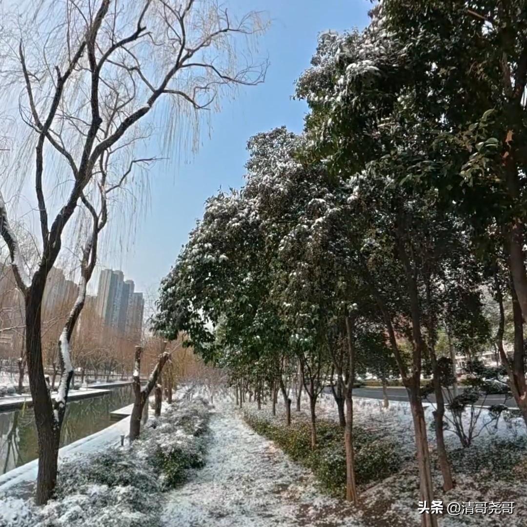 疫情_人生艰难困苦_财务工作压力