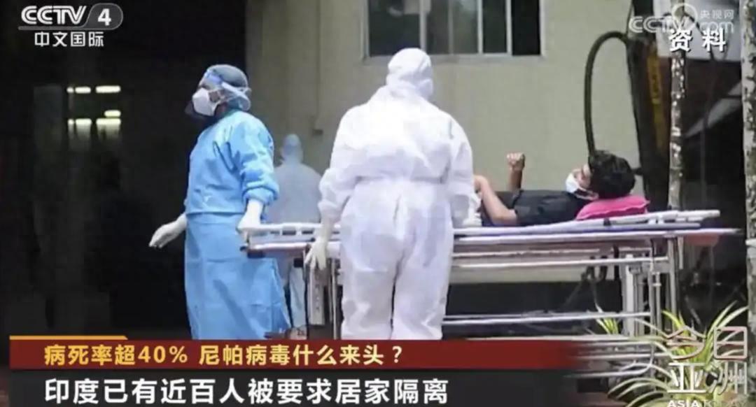 尼帕病毒感染症状_印度尼帕病毒疫情_疫情