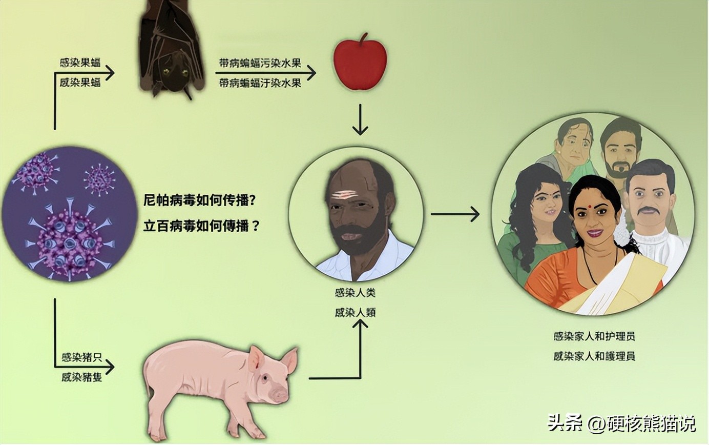 尼帕病毒传播途径_疫情_尼帕病毒印度疫情