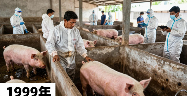 疫情_尼帕病毒印度疫情_尼帕病毒传播途径