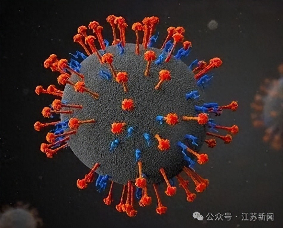 尼帕病毒传播途径_疫情_尼帕病毒疫情