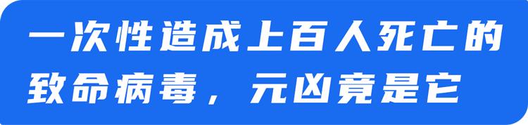 疫情_尼帕病毒传播途径_尼帕病毒疫情