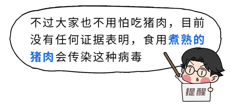 尼帕病毒疫情_尼帕病毒传播途径_疫情