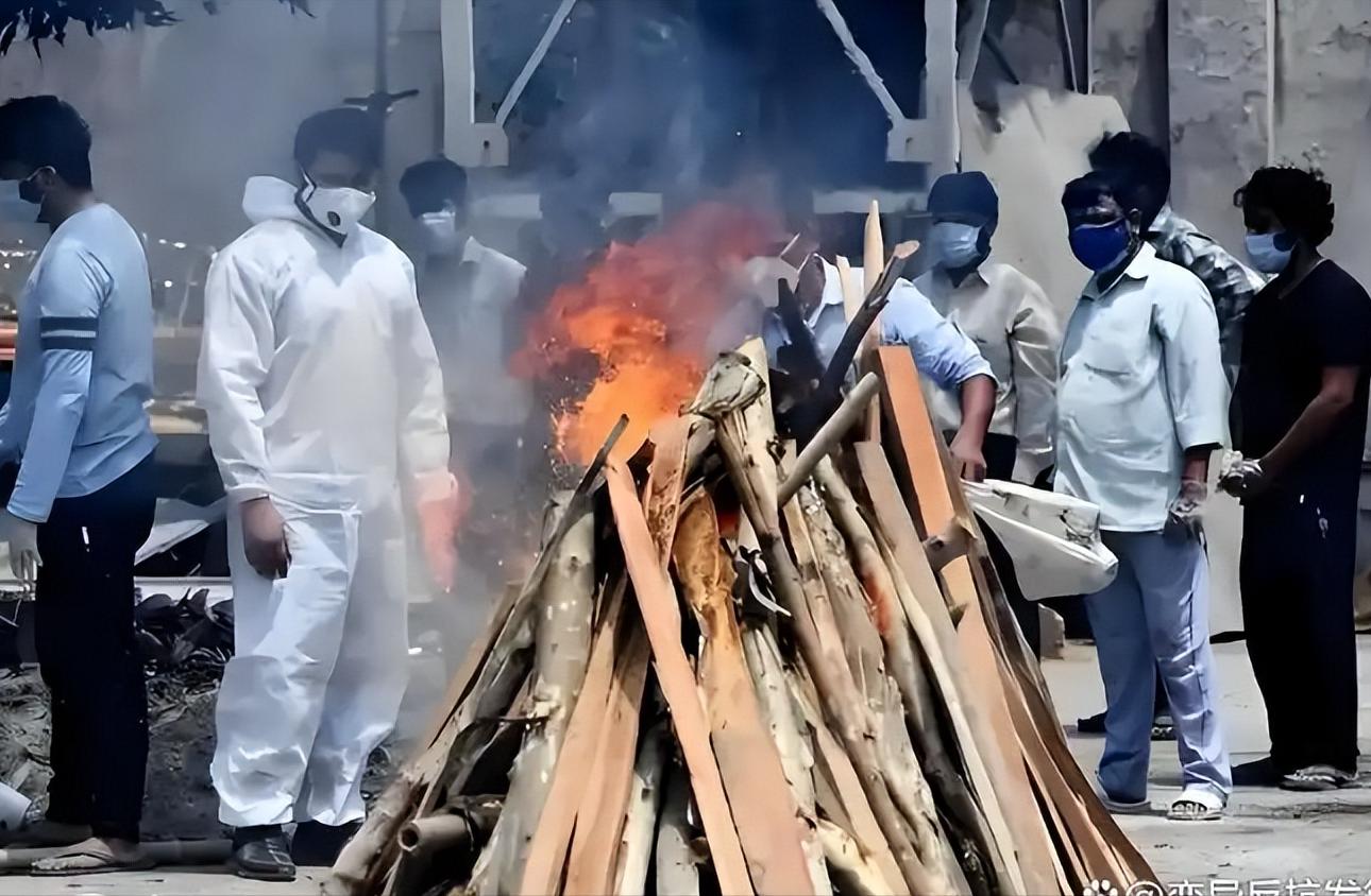 尼帕病毒传播途径_尼帕病毒印度疫情_疫情