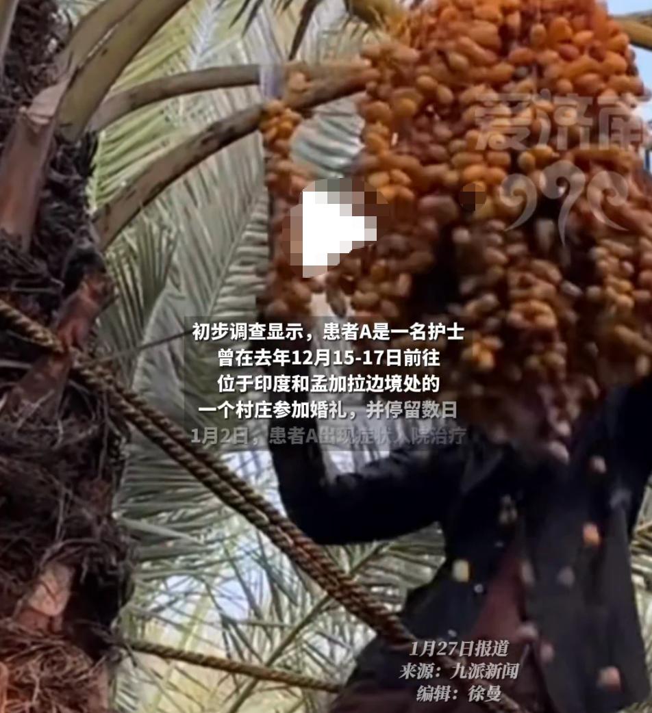 尼帕病毒疫情 中国疾控局 防控措施_疫情