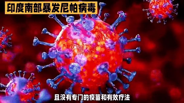尼帕病毒 印度 人畜共患_疫情
